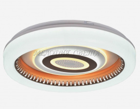 Потолочный светильник SS1L 000024776