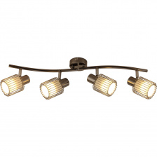 Спот Laurine TL1252Y-04BC